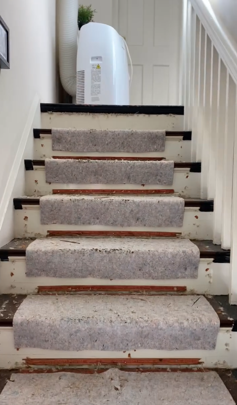 Staircase Carpet Removal